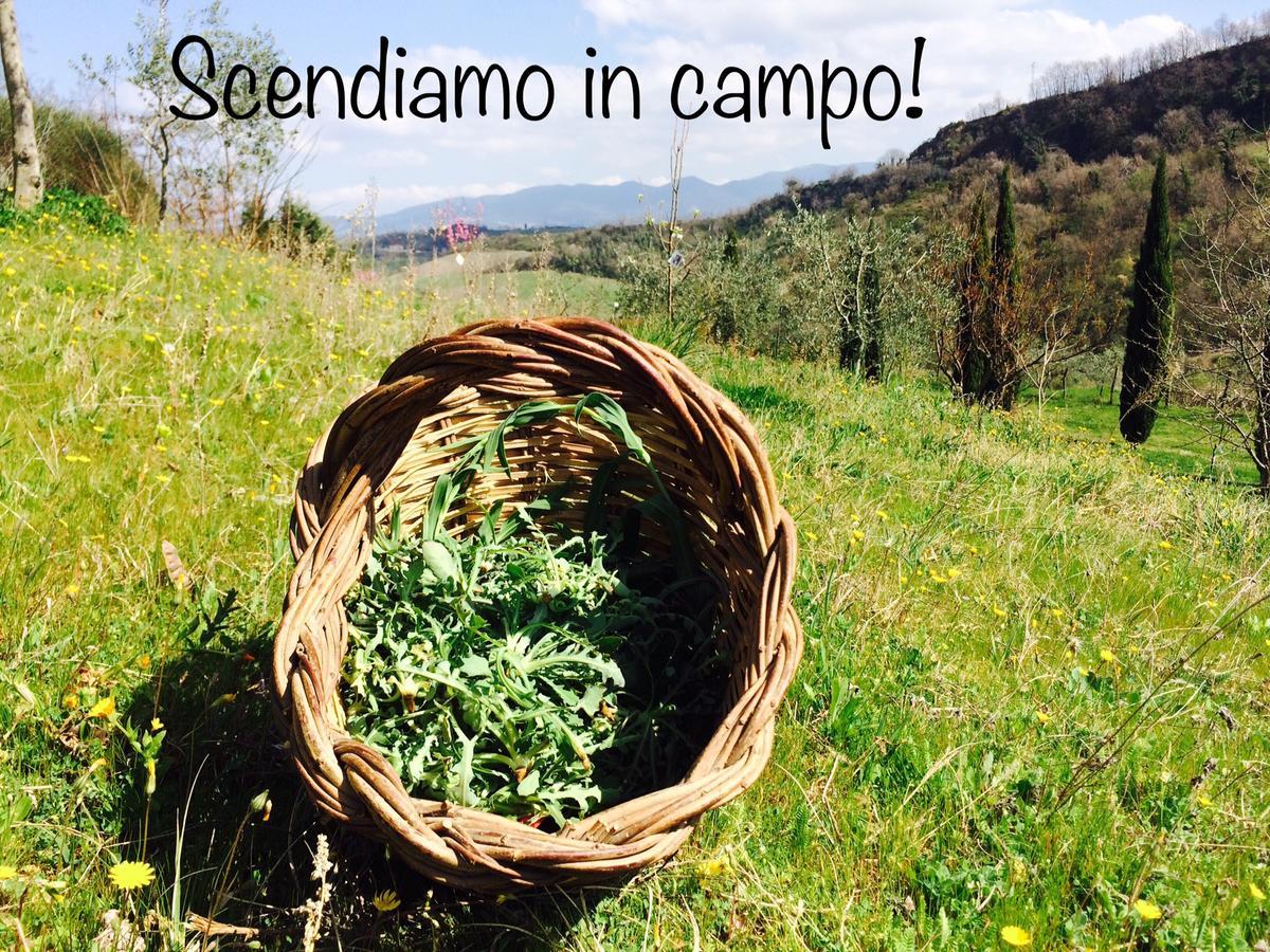 Bio Agriturismo Valle Dei Calanchi Castiglione In Teverina Exterior photo